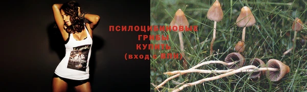 трава Абдулино