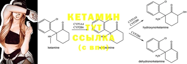 2c-b Абаза