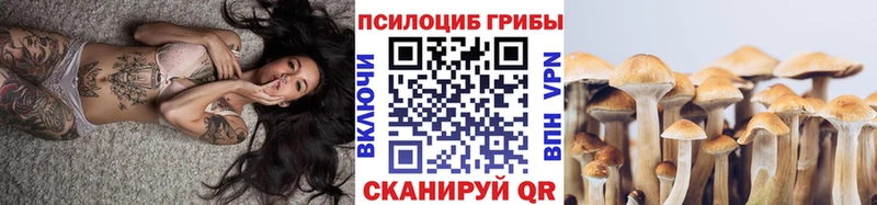 Галлюциногенные грибы Magic Shrooms Александров