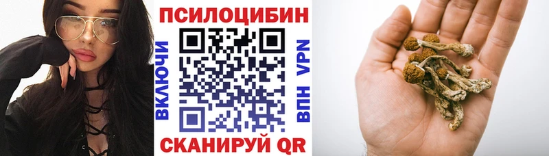 Галлюциногенные грибы Magic Shrooms  маркетплейс какой сайт  Александров  ссылка на мегу зеркало 